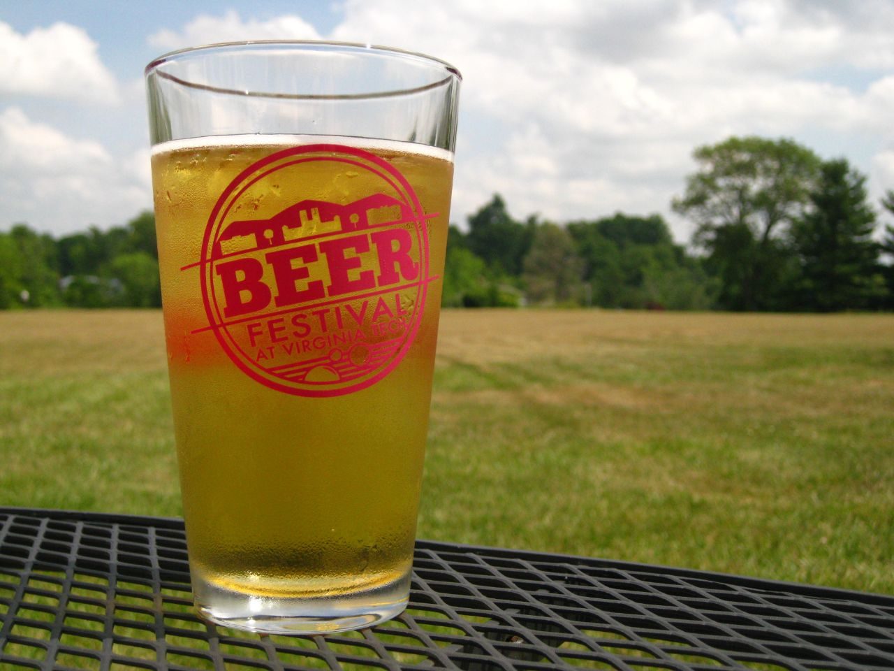 Have Fun At The Beer Festival At Virginia Tech