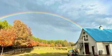 A rainbow above the Hardware Hills Vineyard and tasting room