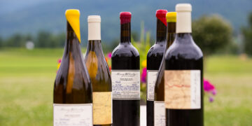 An arrangement of wine bottles sitting on a table outdoors with a view of King Family Vineyards in Crozet, Virginia