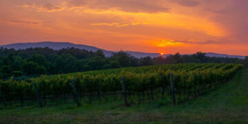 Sunset overlooking Knight’s Gambit Vineyard after a day of winery tours in Charlottesville, VA